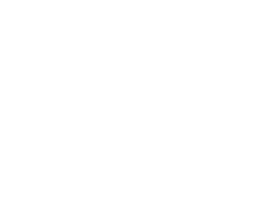 BadmintonCastle